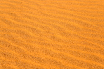  close-up on sands of the desert