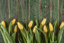 Yellow Tulips On Green Wooden Background, Happy Easter Time