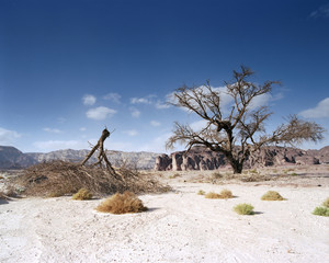 Wall Mural - Timna Park, Israel