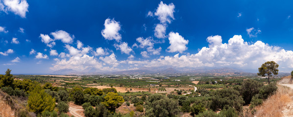 Wall Mural - Panoramic view of summer Crete Greek Island with olive tree plantations mountains and Libyan Sea in background