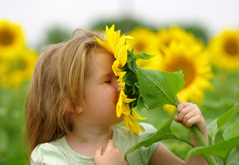 Wall Mural -  girl and sunflower on the field