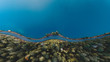 © Kyle Finn Dempsey - Aerial view of coastal road