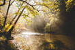 © Kyle Finn Dempsey - Rural river with sunlight shining through trees