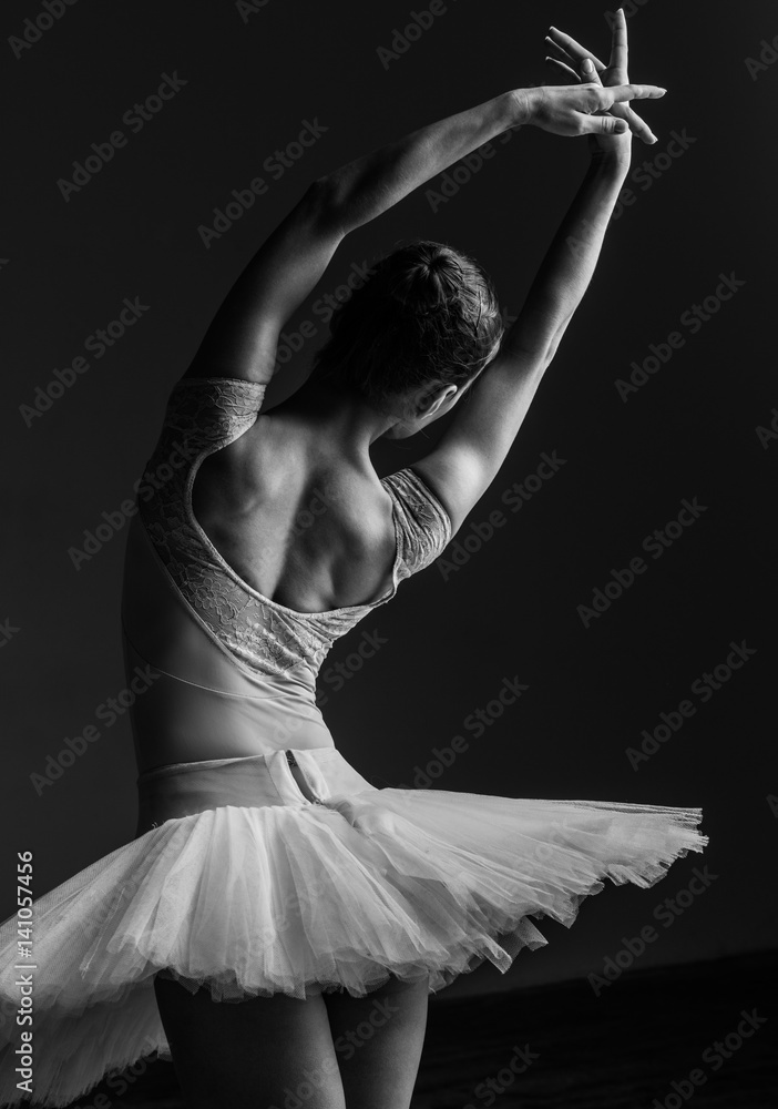 Young beautiful ballerina posing in studio - obrazy, fototapety, plakaty 