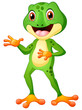Cute frog cartoon posing