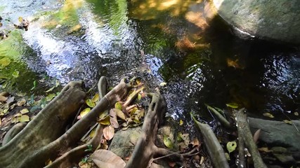 Wall Mural - Natural fresh water flowing over rocks autumn colors outdoors	 