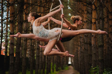 Two Beautiful And Slim Gymnasts Doing Difficult Exercises On Aerial Silk In The Forest

Two Beautiful And Slim Gymnasts Doing Difficult Exercises On Aerial Ring