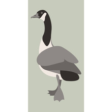 Goose Vector Illustration Style Flat