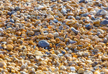Closeup Of Brown, Wet Pebbles On The Beach