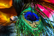 Abstract Background Of Beautiful Bird Peacock Feather With Water Drops Bokeh