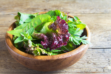 Wall Mural - green mixed salad leaves