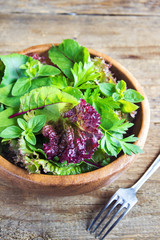 Wall Mural - green mixed salad leaves