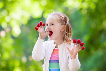 Wall Mural - Child picking and eating raspberry in summer