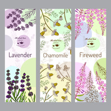Herbal Tea Collection. Fireweed, Lavender, Chamomile 