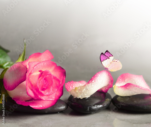 Naklejka dekoracyjna Spa stones and rose petals and butterfly over grey background