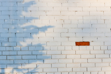 One exceptional red brick on the white brickwall