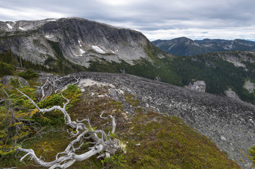 Fraser Valley Mountains