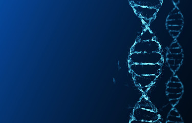molecules of dna