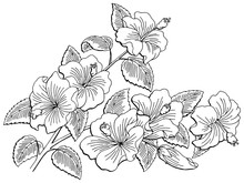 Roselle Flower Branch Graphic Black White Isolated Sketch Illustration Vector