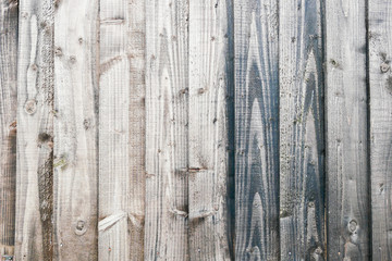 Wall Mural - Wood background wall paper