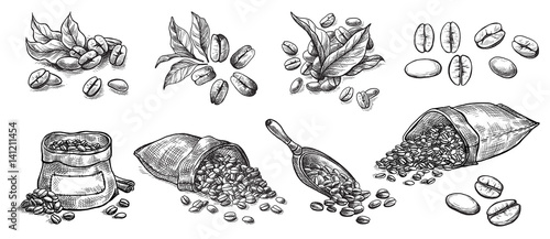 Fotomural set of coffee beans in bag in graphic style hand-drawn vector illustration