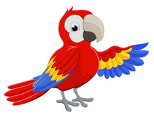Cartoon Parrot Pointing