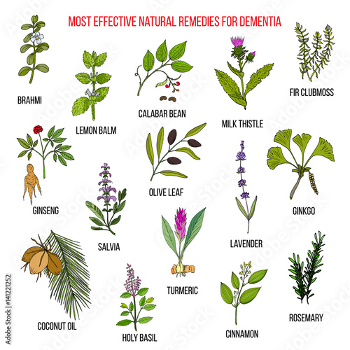 Best herbal remedies for dementia Stock Vector Adobe Stock