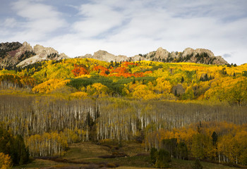 Wall Mural - Autumn at Kebler Pass in Colorado