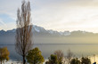 The golden sunset at Lac Leman in Montreux, Switzerland with trees
