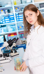 Wall Mural - Women work in food quality inspection  laboratory