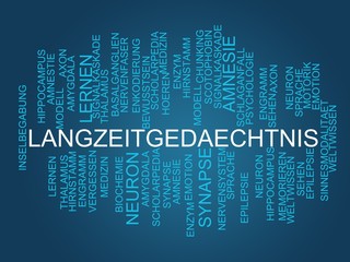 Canvas Print - Langzeitgedächtnis