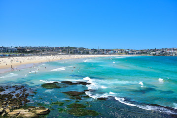 Bondi beach in summer