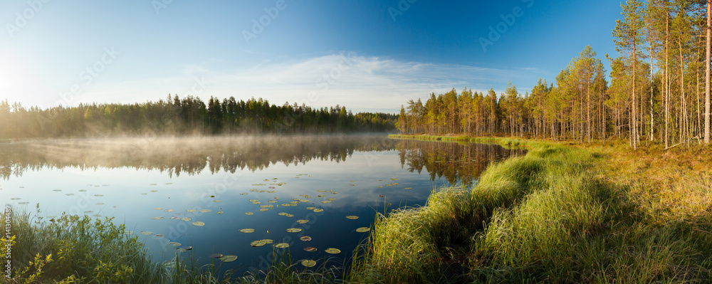 Serene morning at forest pond - obrazy, fototapety, plakaty 