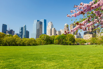Fototapete - Central park at spring sunny day, New York City