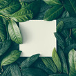 © Zamurovic Brothers - Creative layout made of green leaves with paper card note. Flat lay. Nature concept