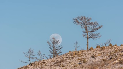 Wall Mural - Night Time lapse Large full bright moon rises from above hill into sky.