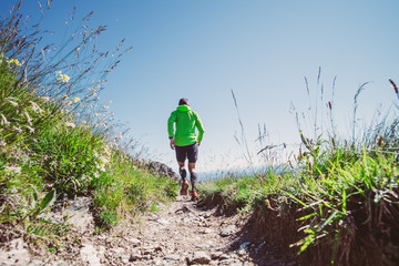 Wall Mural - man trail running on a mountain in summer