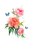 Fototapeta Kwiaty - watercolor illustration of flower pink peony on white background