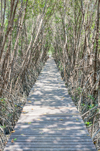 Tapeta ścienna na wymiar Wooden bridge walkway into the sea with tree tunnel of mangrove forest.