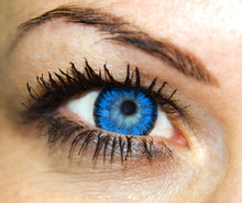 Beauty Blue Woman Eye Macro