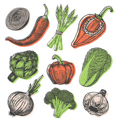 Wall Mural - Set hand drawn elements with sketch style fresh vegetables. Different peppers.