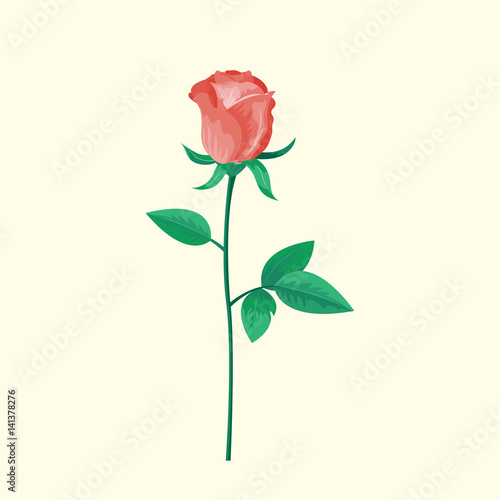Vintage pink rose flower can be used as greeting card, invitation card for we...