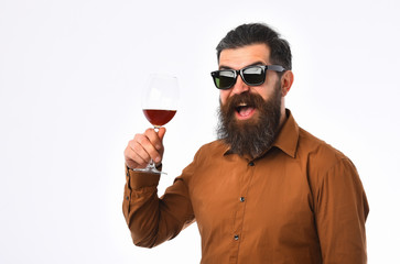 Wall Mural - bearded man hipster with wine glass in brown shirt, sunglasses