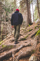 hiker walking on a mountain trail - wanderlust travel concept with sporty people at excursion in wild nature - outdoor activity italian Alps Italy