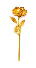 Gold Rose As A Prensent On White Background