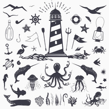 Big Set Of Marine Animals: Cachalot, Shark, Octopus, Jellyfish, Starfish, Seahorse, Crab, Seagulls Isolated On White Vector Nautical Illustration