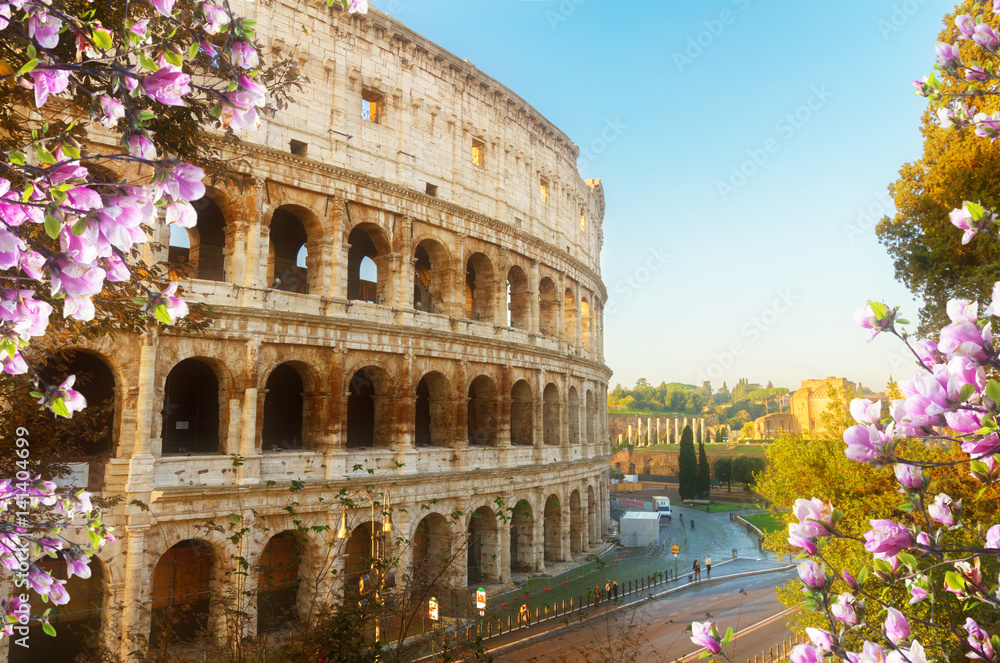 close up view of Colosseum building in Rome at spring day, Italy - obrazy, fototapety, plakaty 