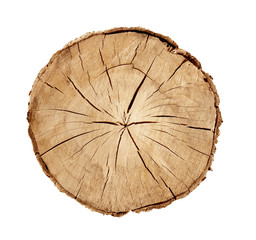 Large circular piece of wood cross section with tree ring texture pattern and cracks isolated on white background. Rough organic edges of bark.