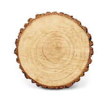 Wooden Stump Isolated On The White Background. Round Cut Down Tree With Annual Rings As A Wood Texture.