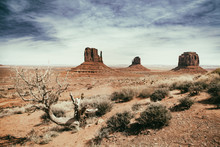 Panoramic Photo Of The Monument Valley Park In Arizona In USA With Vintage Effect, Tree And Dry Vegetation In The Foreground